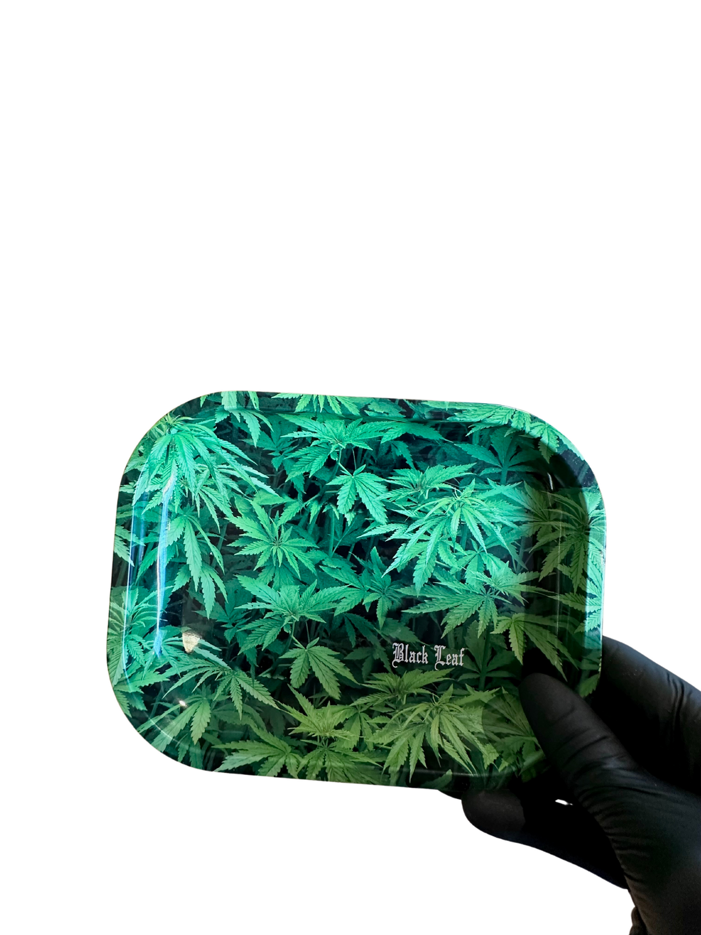 Plateau Blackleaf