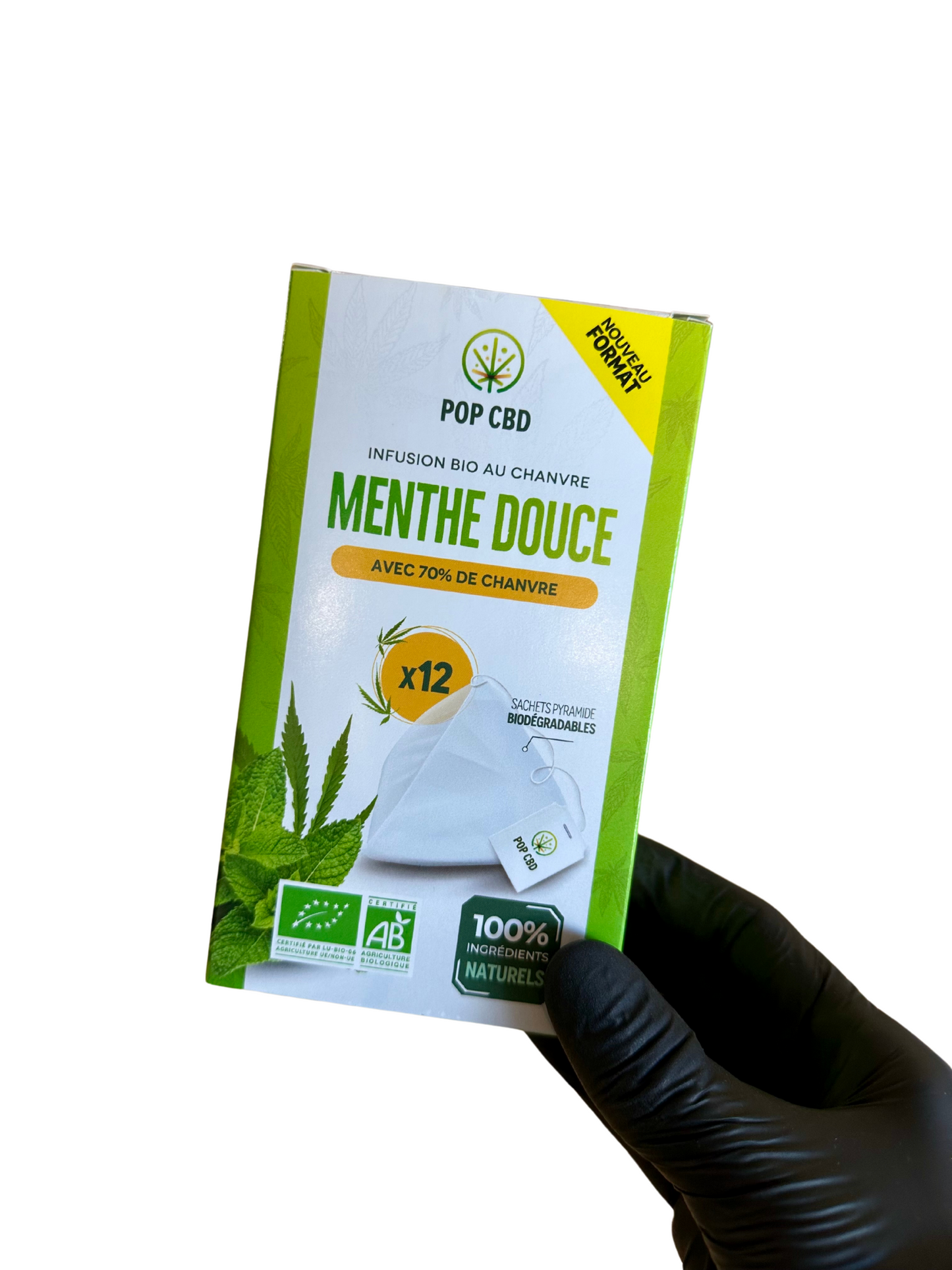 POP Menthe x12 pyramides