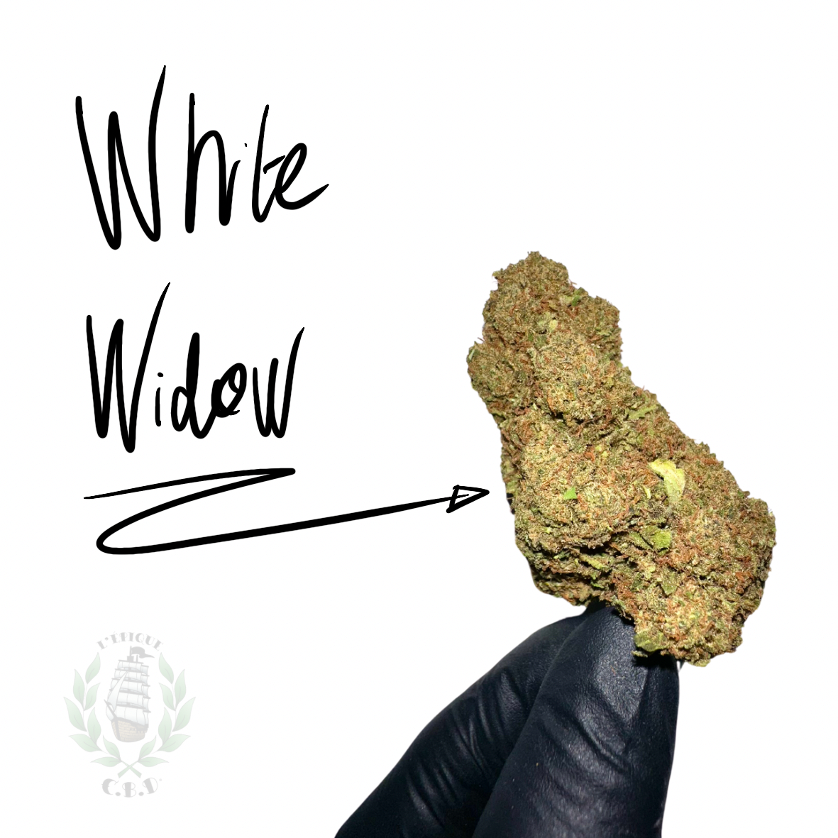 White Widow CBD 💚