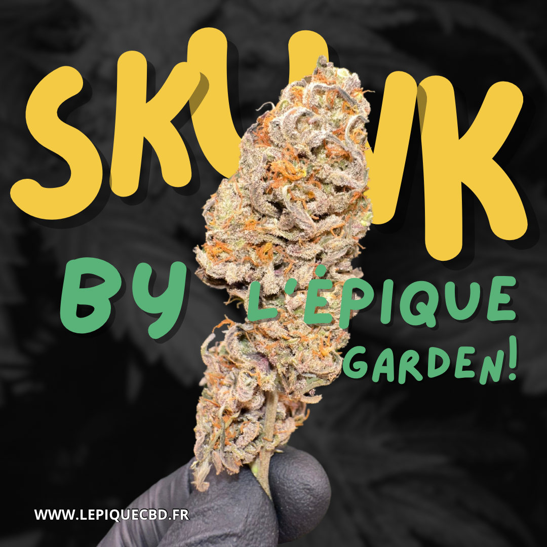L’Épique Skunk 💚