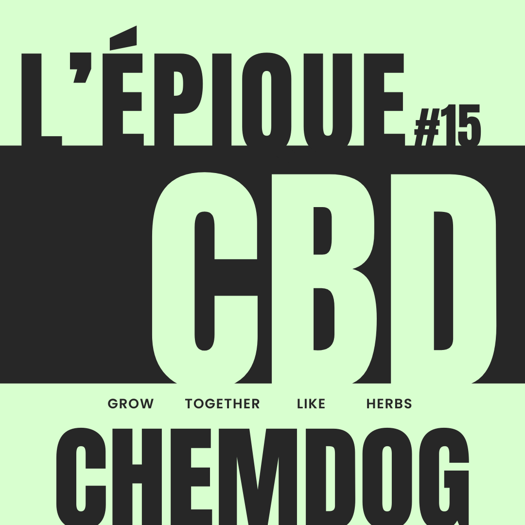 La variété : CHEMDOG