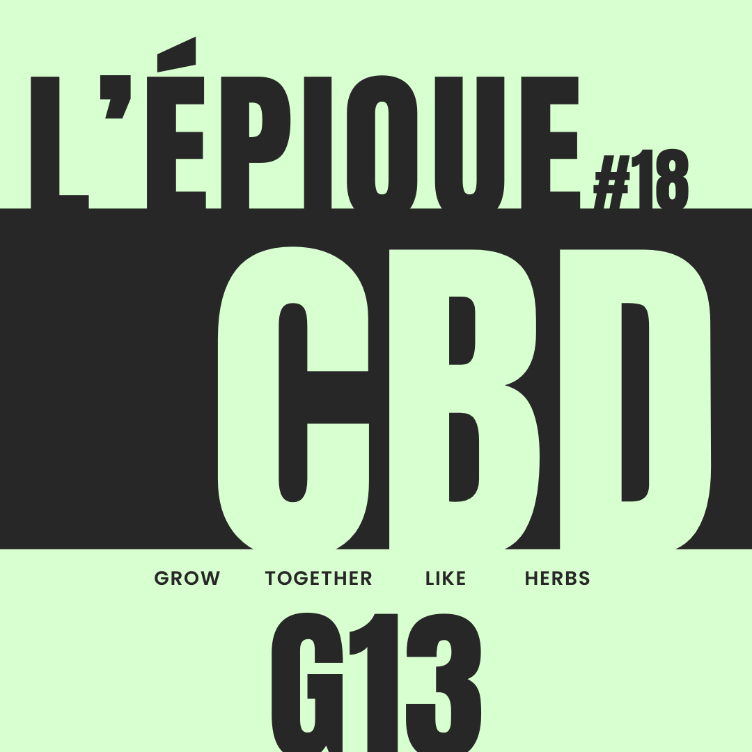 La variété :  G13