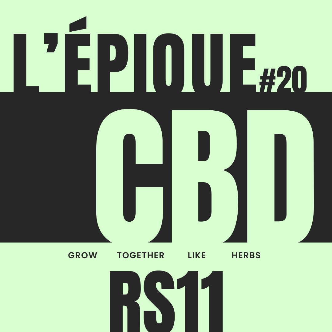 La variété :  RS11