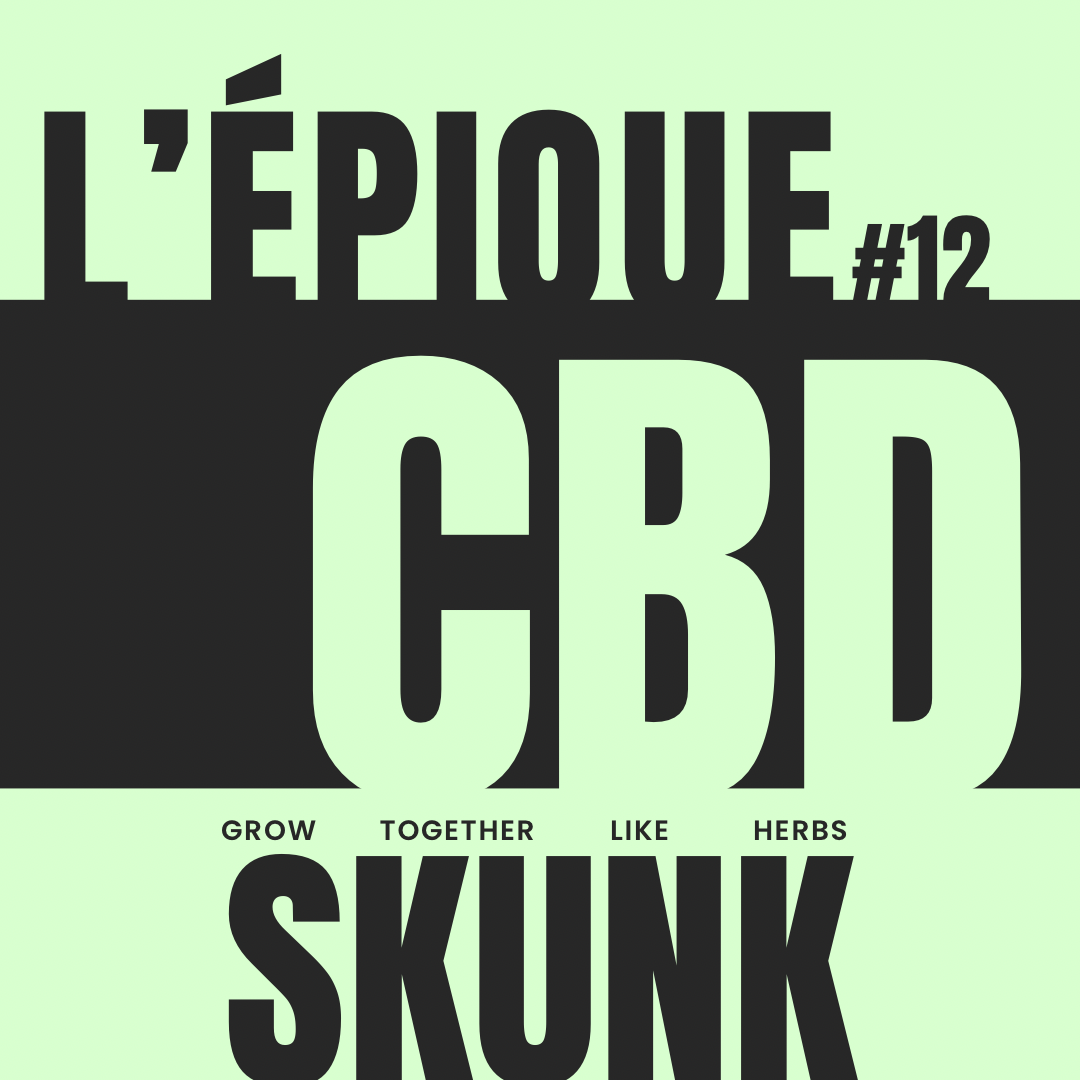 La variété : SKUNK