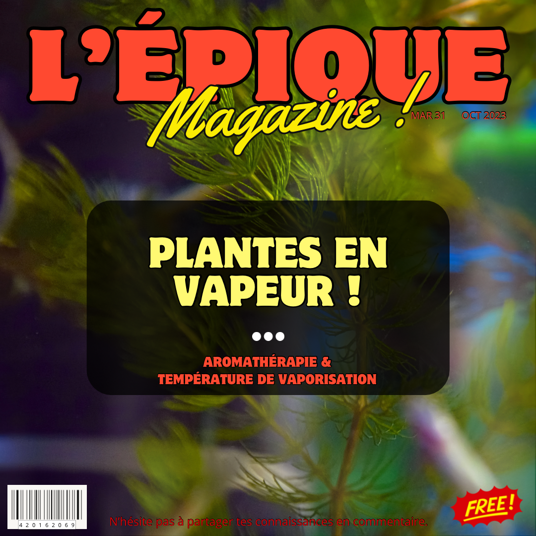#13 PLANTES EN VAPEUR ! (Aromathérapie & température de vaporisation)