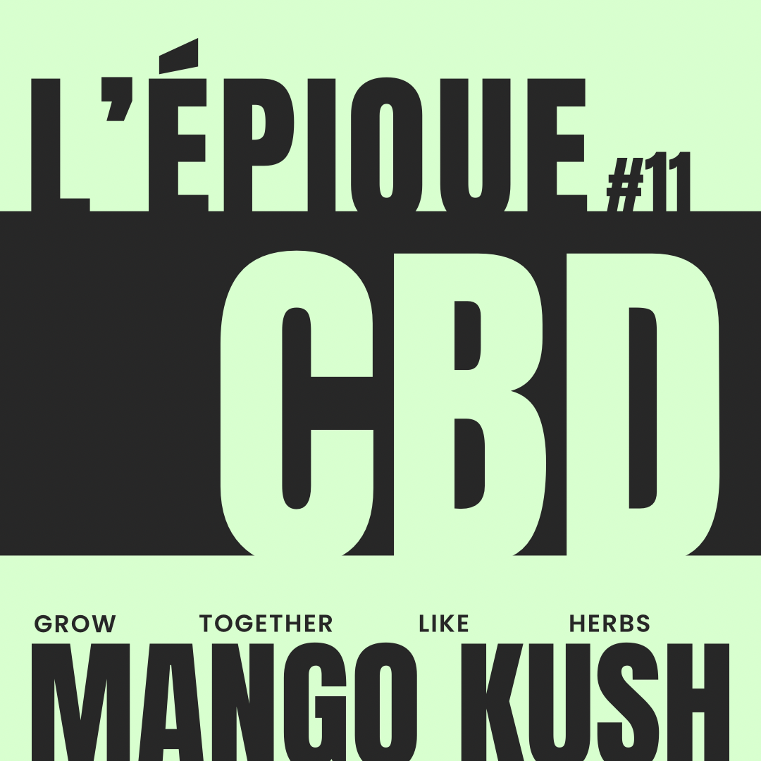 La variété : MANGO KUSH