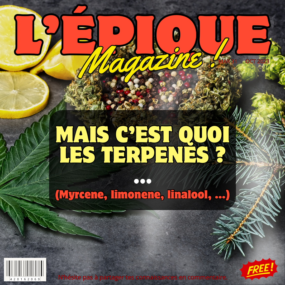 9# MAIS C’EST QUOI LES TERPÈNES ?