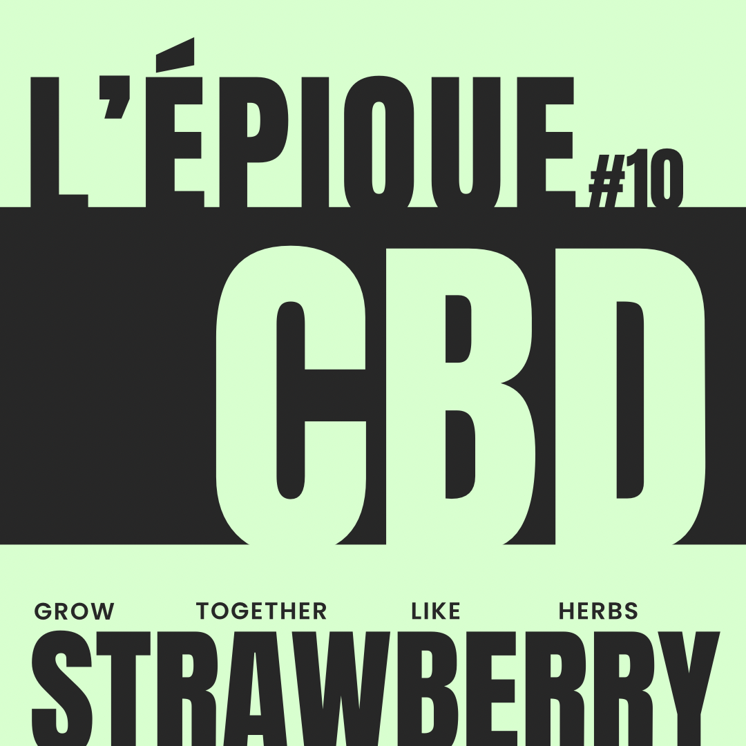 La variété : STRAWBERRY