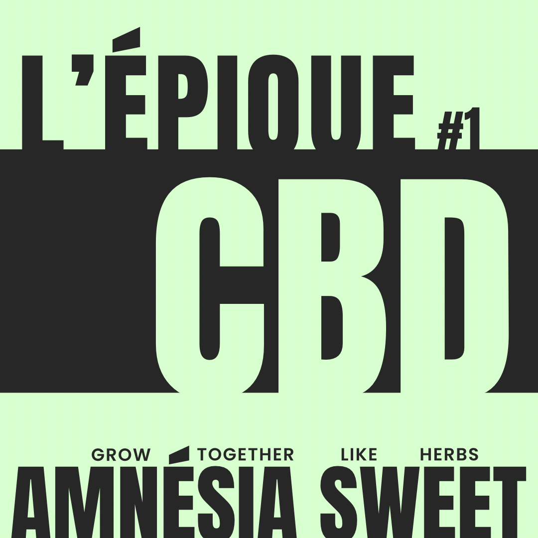 La variété : AMNÉSIA SWEET