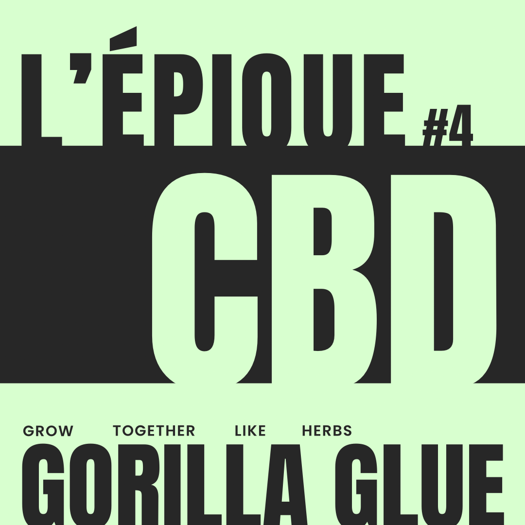 La variété : GORILLA GLUE