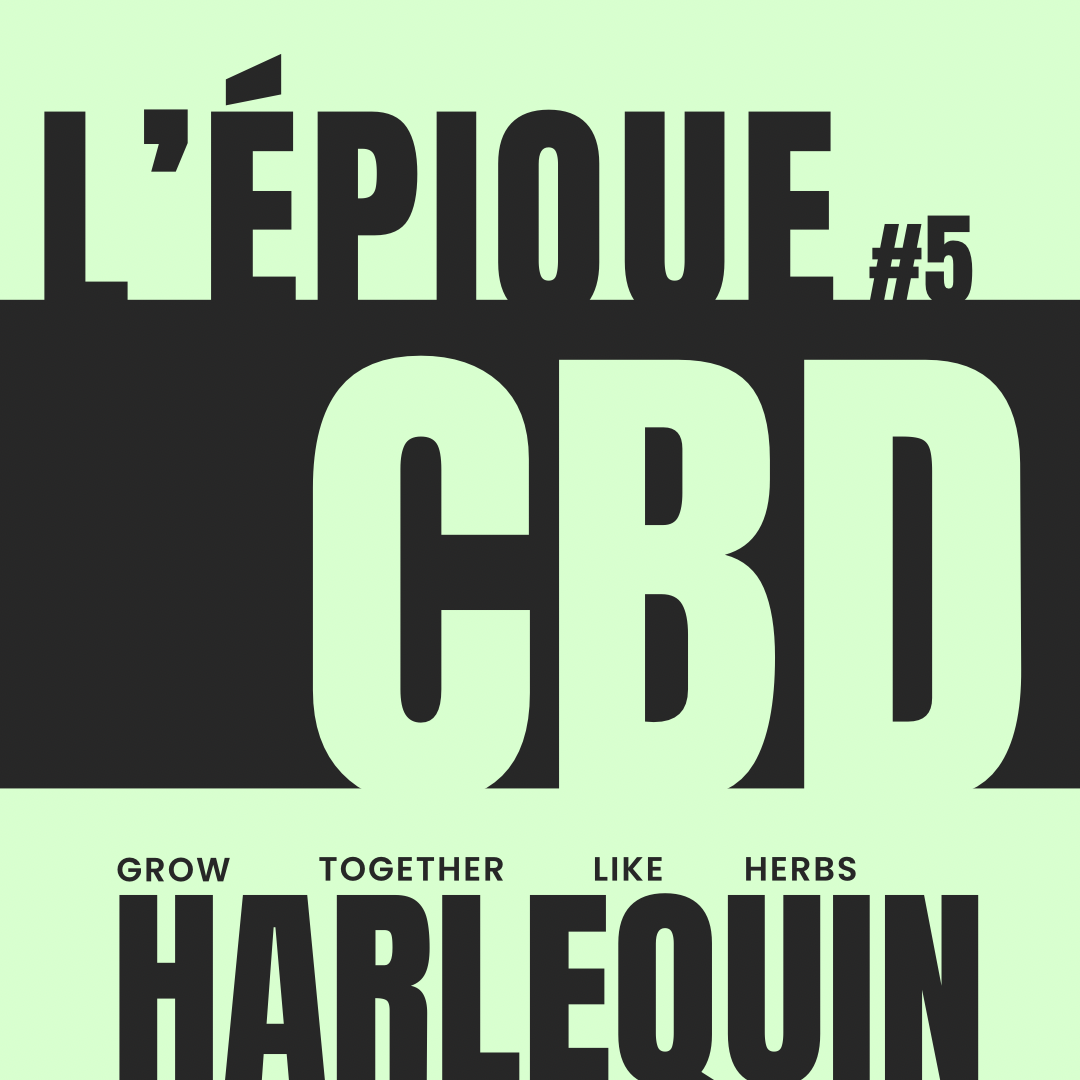 La variété : HARLEQUIN
