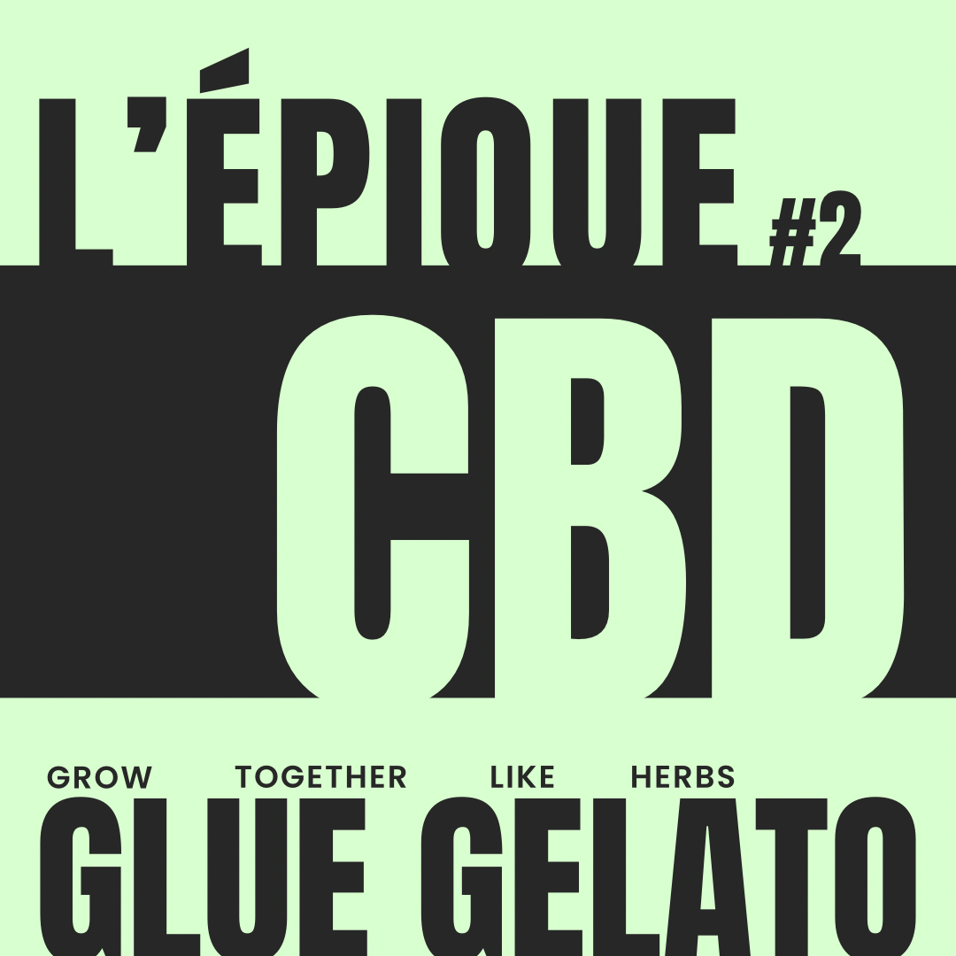 La variété : GLUE GELATO