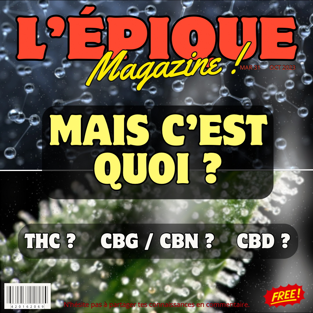 7# MAIS C’EST QUOI ? THC/CBG/CBN/CBD