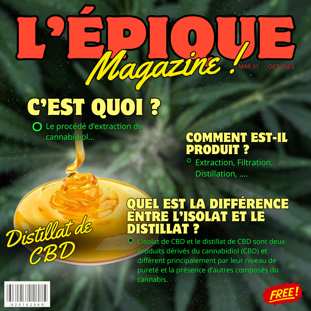 2# C’EST QUOI LE DISTILLAT DE CBD ?
