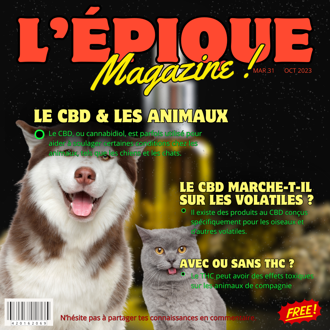 3# LE CBD & LES ANIMAUX