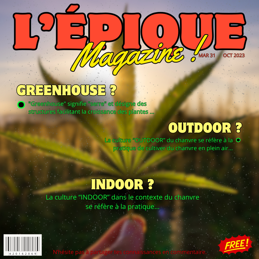 5# COMMENT CULTIVES-TU TON CBD ?