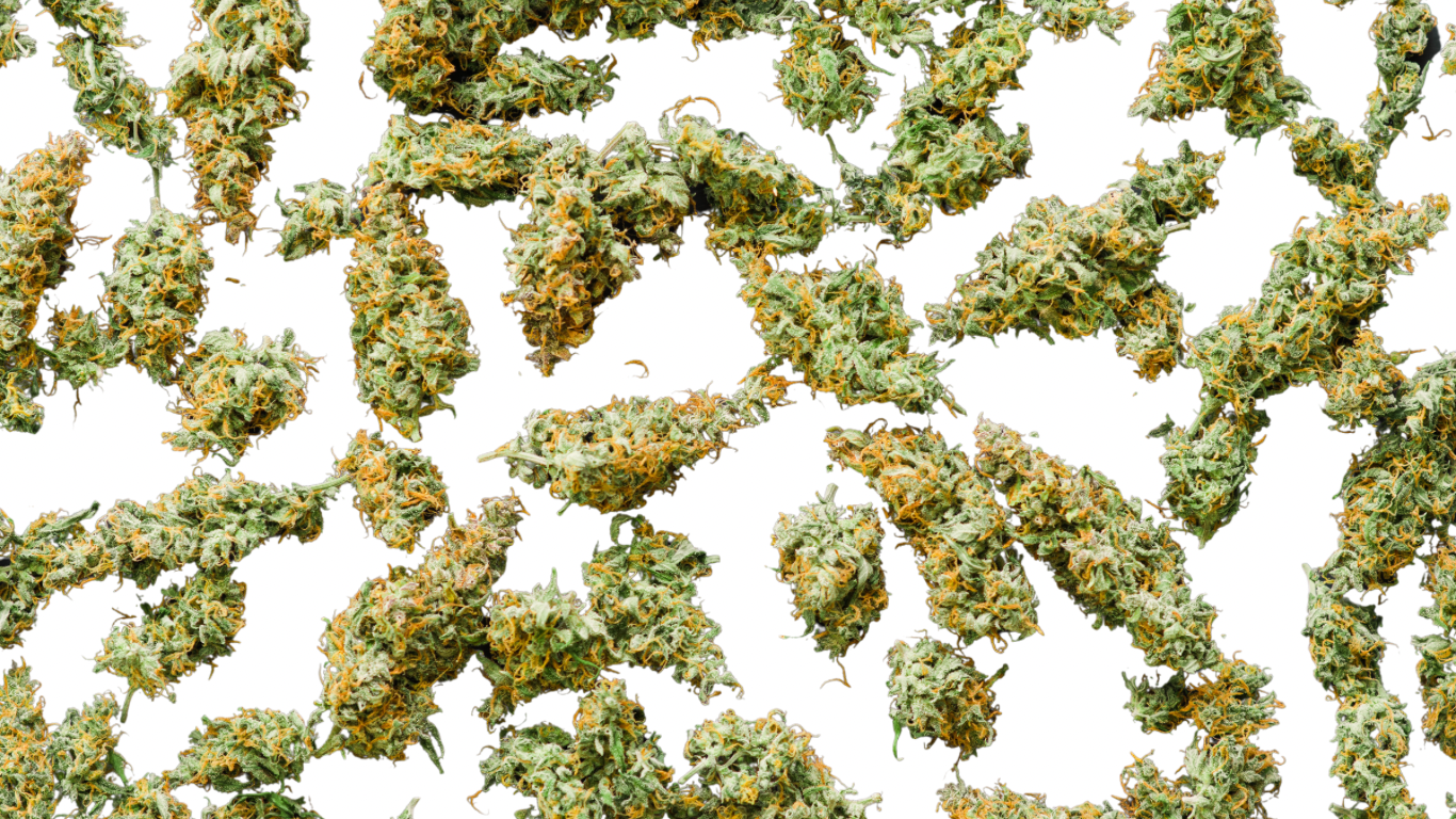 Fleurs de CBD