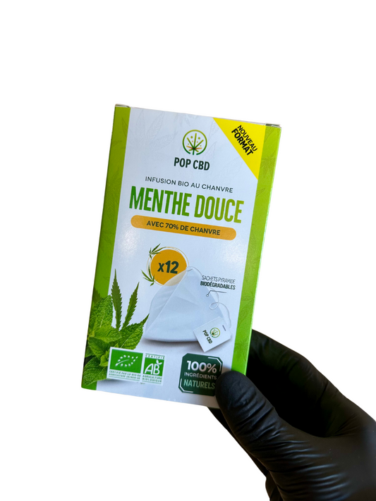 POP Menthe x12 pyramides