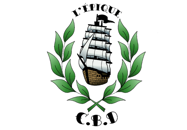 Un bateau de pirate avec des feuilles