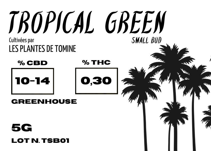 Tropical Green Small Bud CBD By Les plantes de TOMINE
