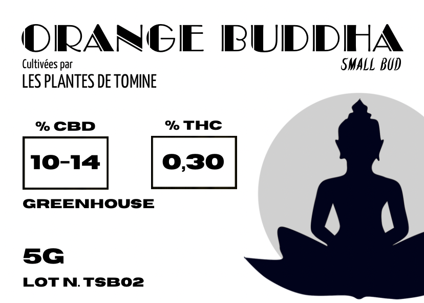 Orange BUDDHA Small Bud CBD By Les plantes de TOMINE