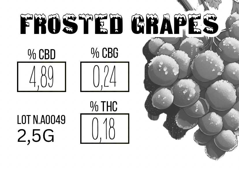 Frosted Grapes CBD 💚