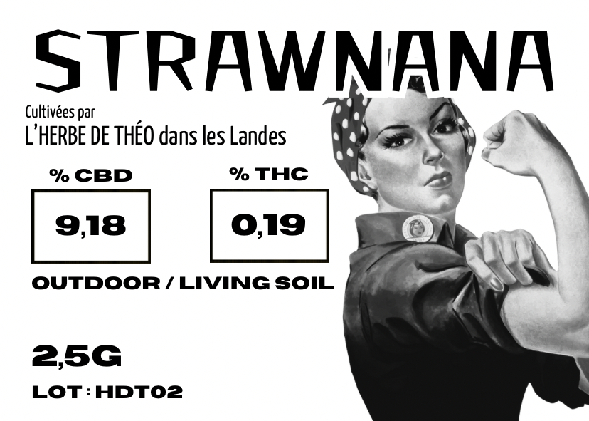 STRAWNANA CBD 💚 by L’HERBE DE TÉO