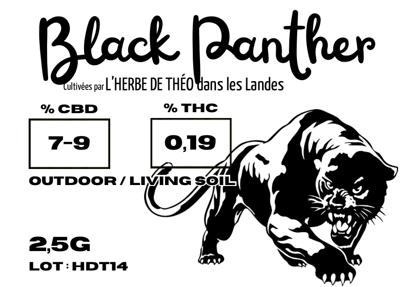 BLACK PANTHER CBD 💚 by L’HERBE DE TÉO