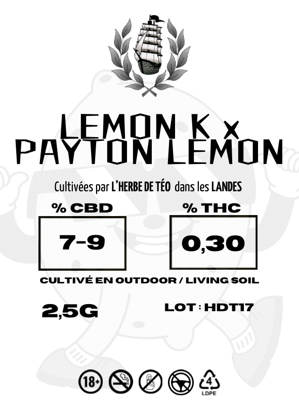 LEMON K x PAYTON LEMON CBD 💚 by L’HERBE DE TÉO