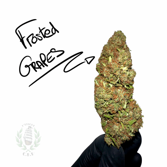 Frosted Grapes CBD 💚