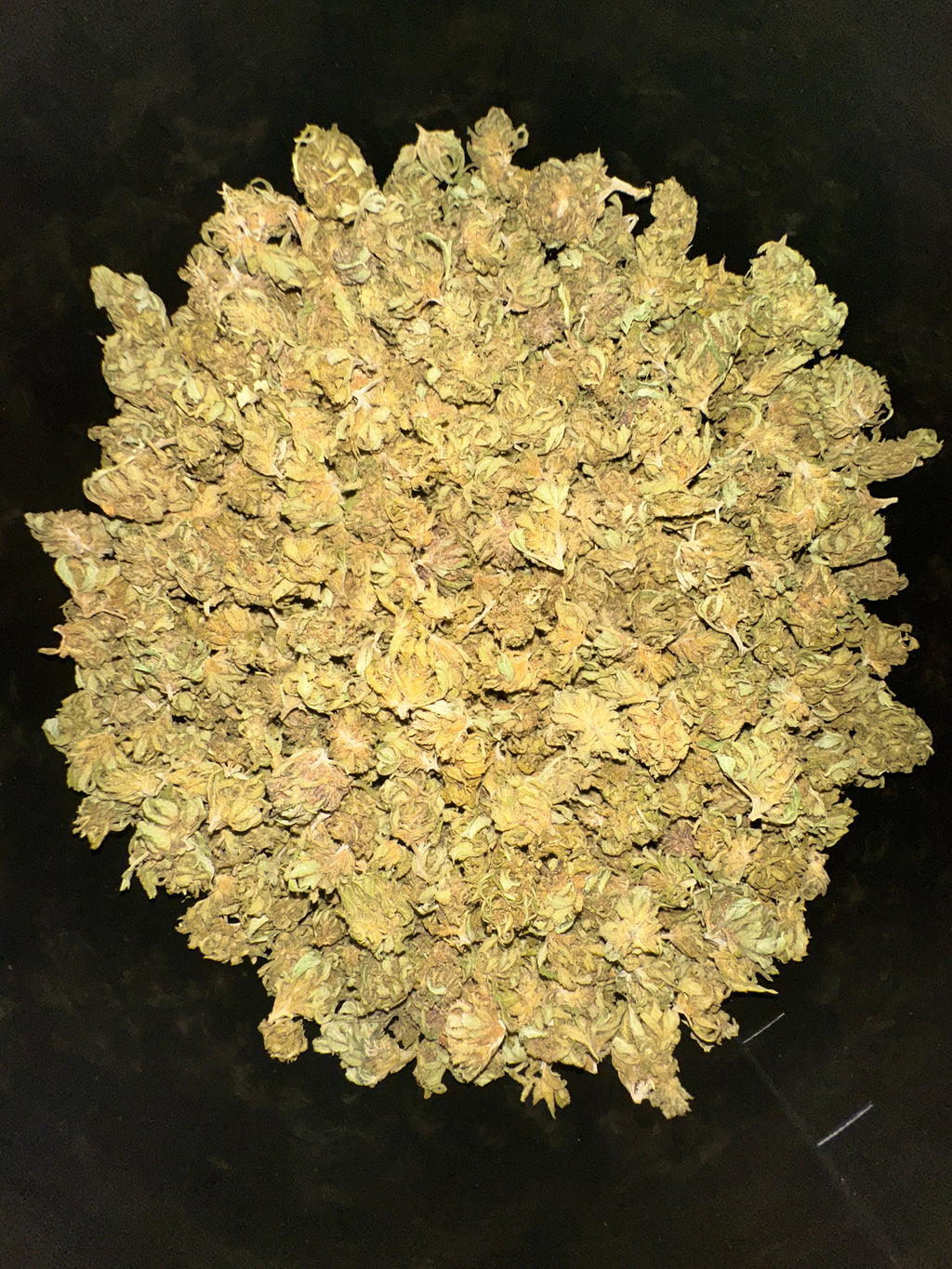 Tropical Green Small Bud CBD By Les plantes de TOMINE