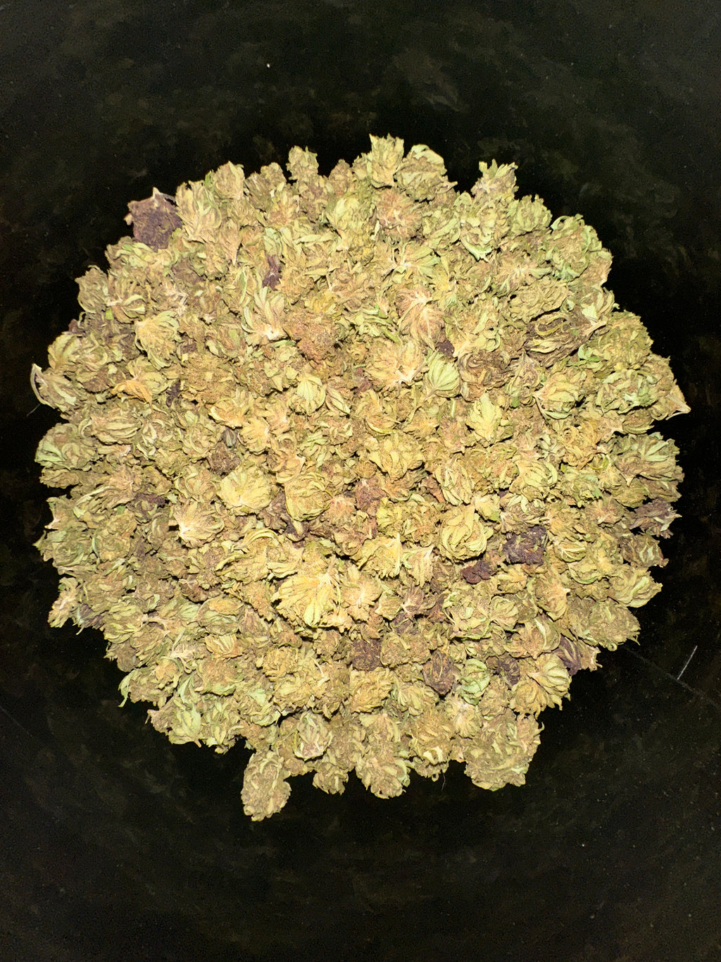 Orange BUDDHA Small Bud CBD By Les plantes de TOMINE