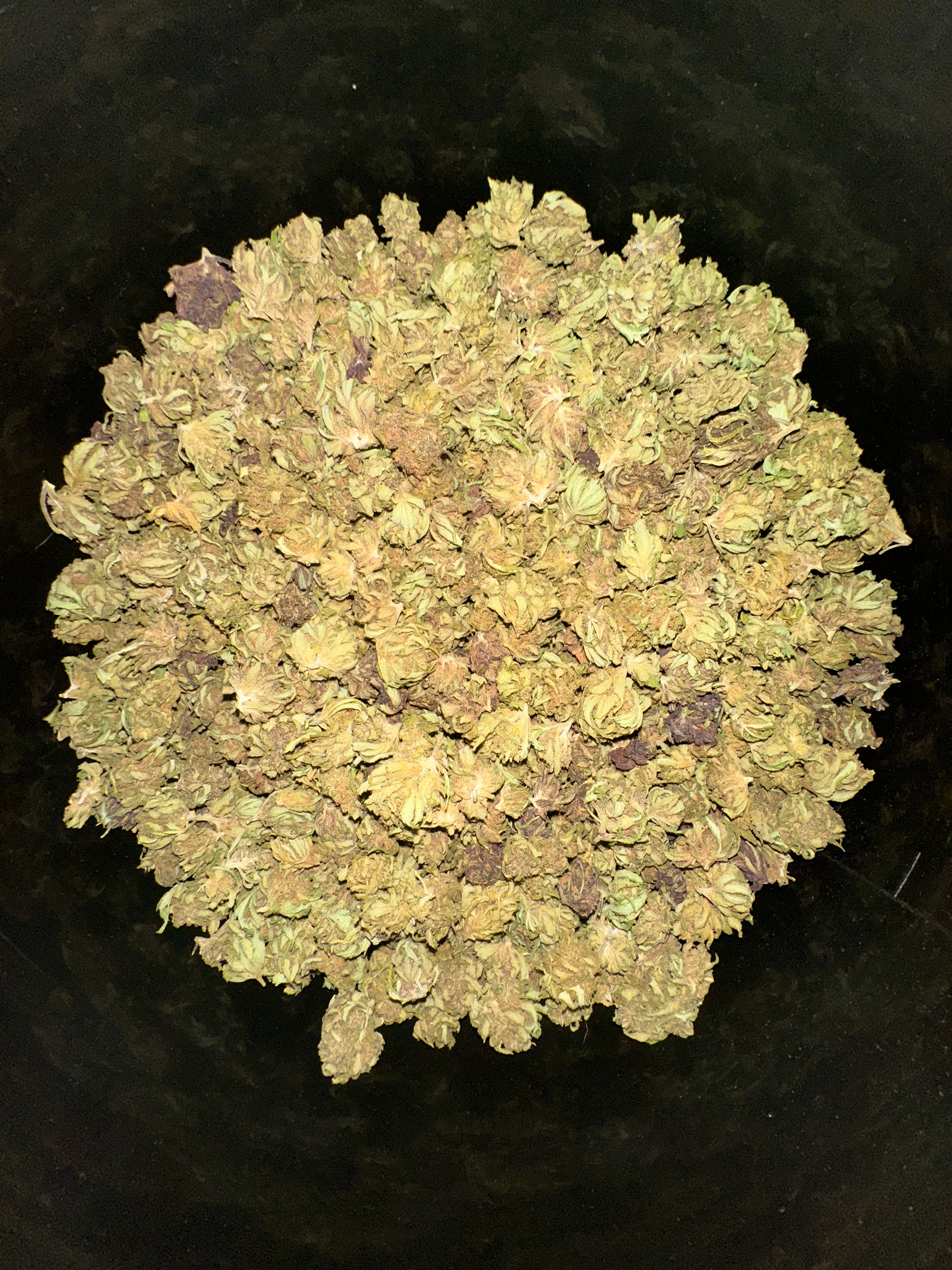 Orange BUDDHA Small Bud CBD By Les plantes de TOMINE