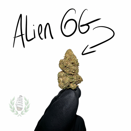 Alien OG CBD 💚
