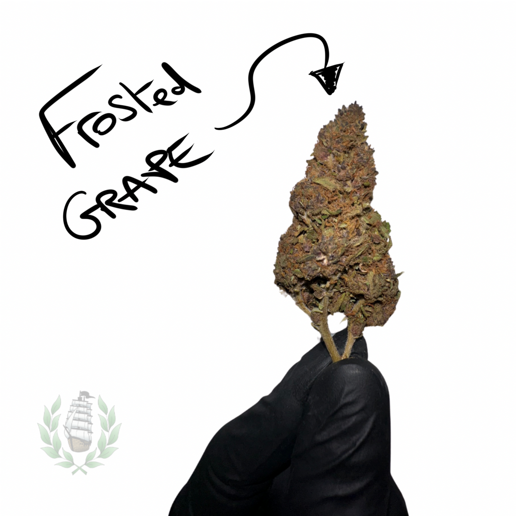Frosted Grapes CBD 💚