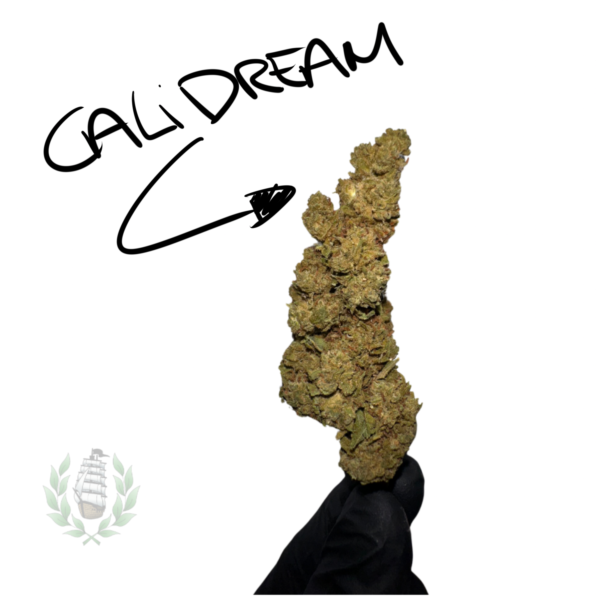 CALIDREAM CBD 💚