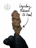 Legendary Platinium Og Diesel CBD 💚 by LES JARDINS DE MAGU