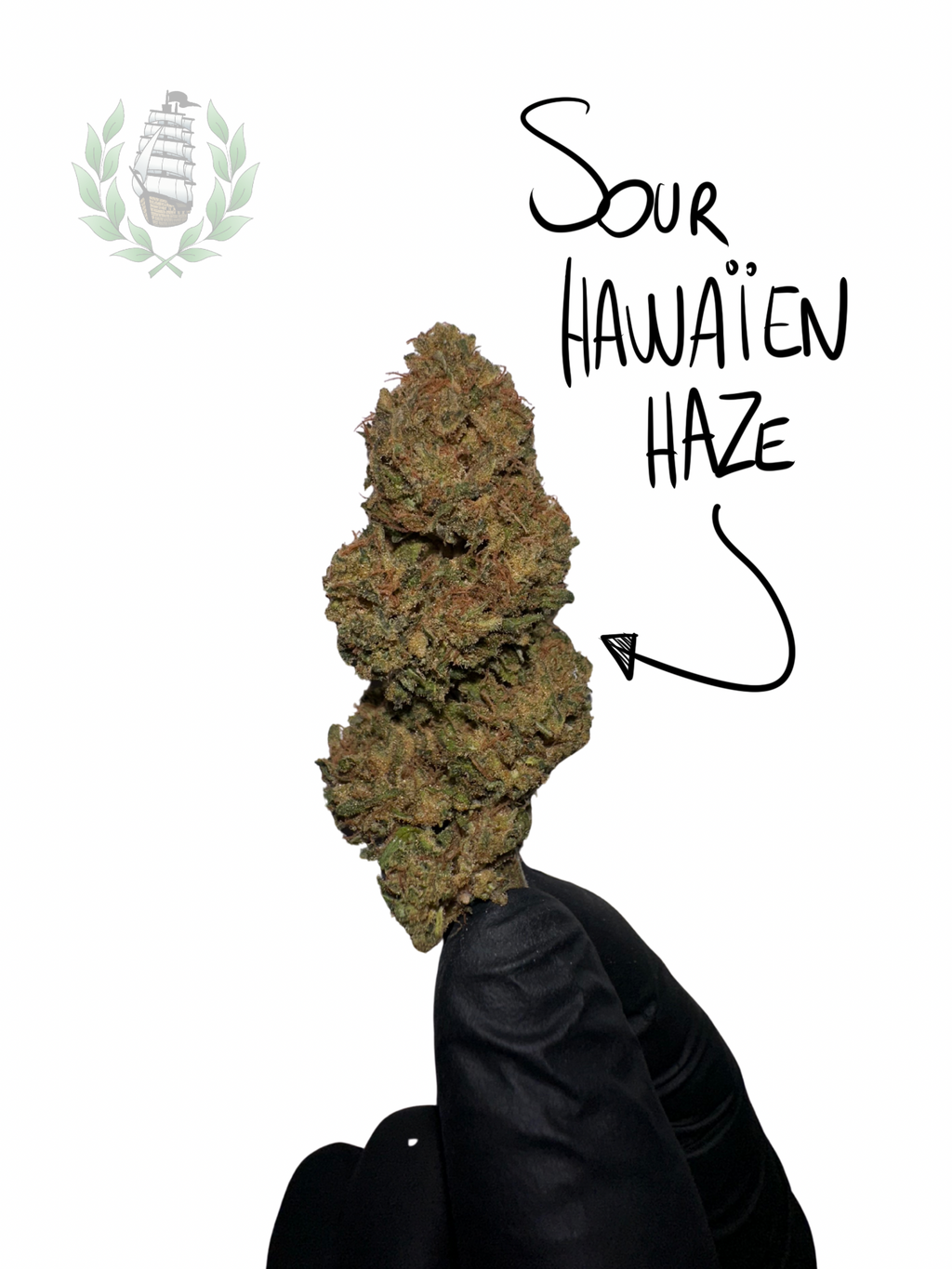 SOUR HAWAÏEN HAZE CBD 💚 by LES JARDINS DE MAGU