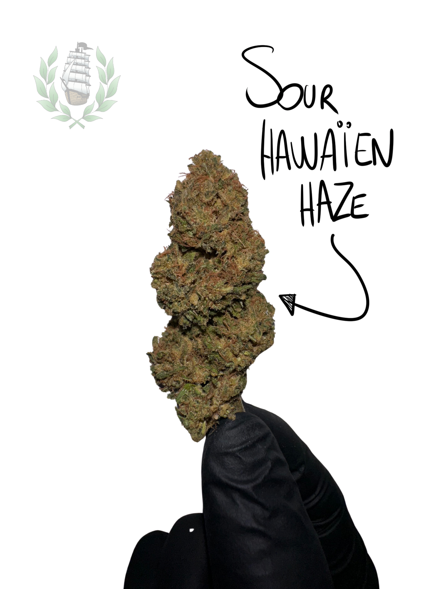 SOUR HAWAÏEN HAZE CBD 💚 by LES JARDINS DE MAGU