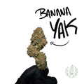 BANANA YAK CBD 💚 by LES JARDINS DE JULIEN (⚠️ Quantité très limitée)