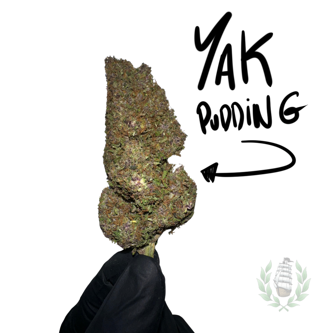 YAK PUDDING CBD 💚 by LES PLANTES DE TOMINE x TERPZ EN HERBE