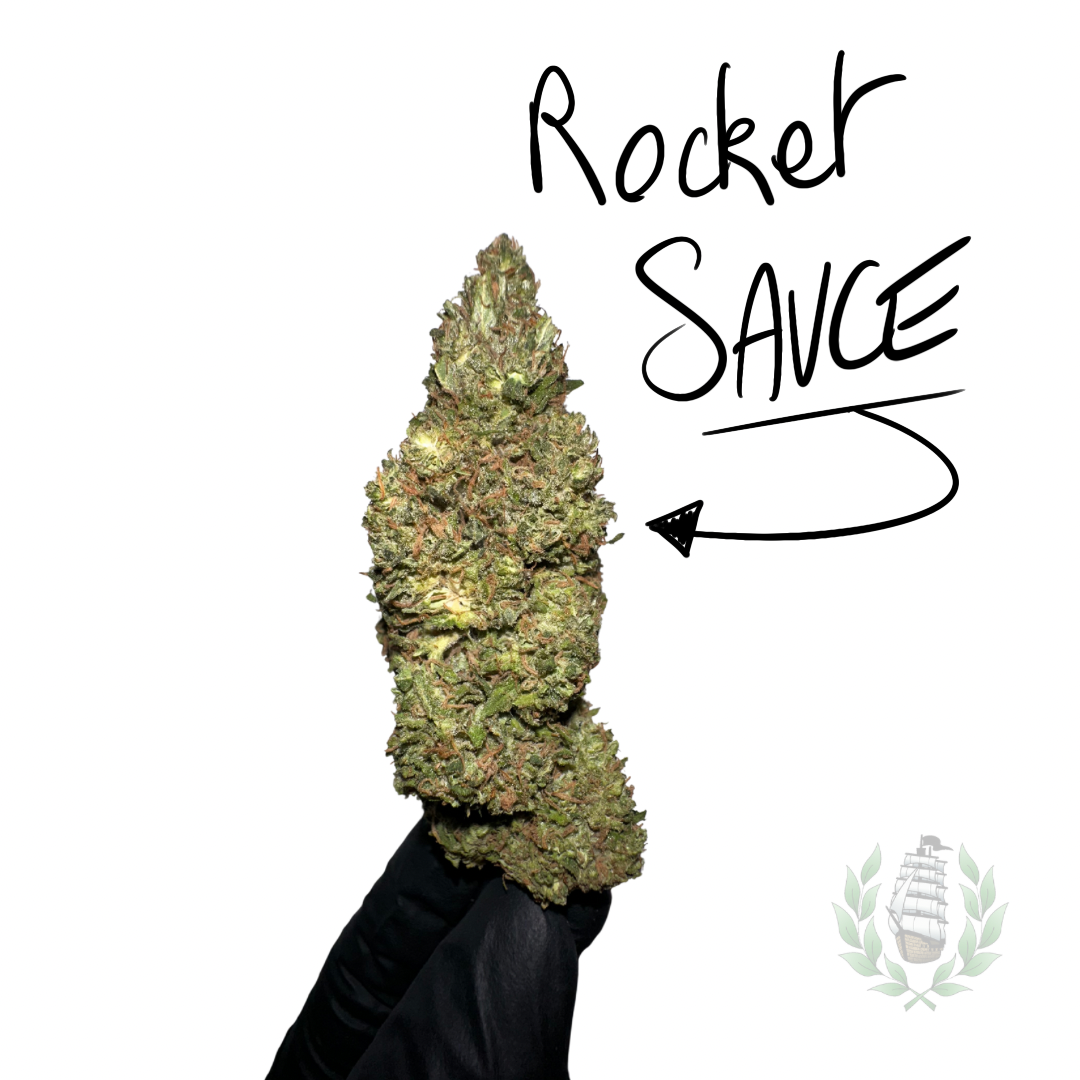 ROCKET SAUCE CBD 💚 by LES PLANTES DE TOMINE x TERPZ EN HERBE
