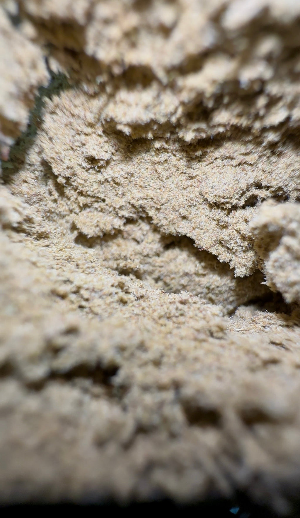 Spritz CBD By El_proffesseurs/Les plantes de Tomine