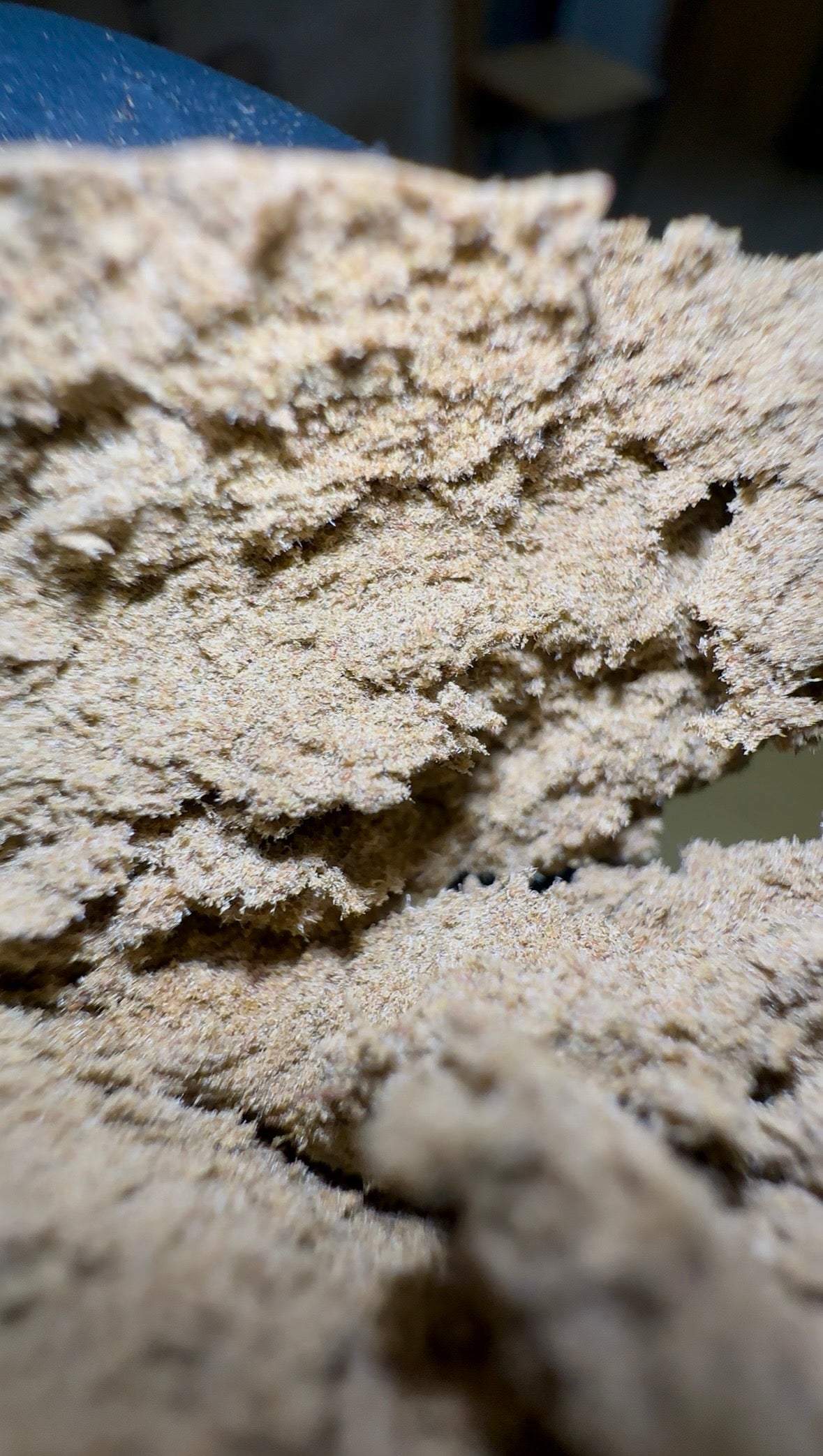 Spritz CBD By El_proffesseurs/Les plantes de Tomine