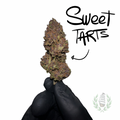SWEET TARTS CBD 💚 by L’HERBE DE TÉO