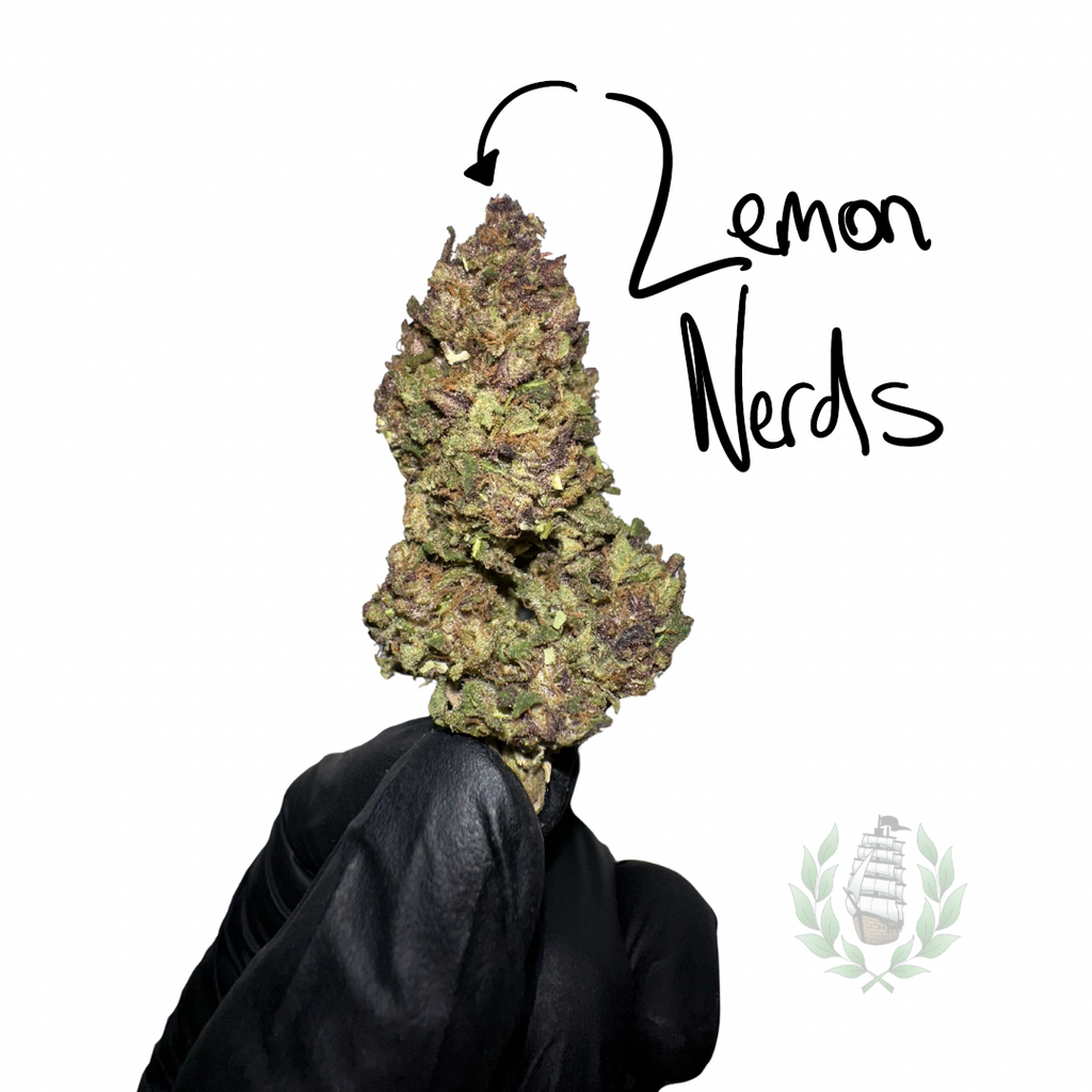 LEMON N CBD 💚 by L’HERBE DE TÉO