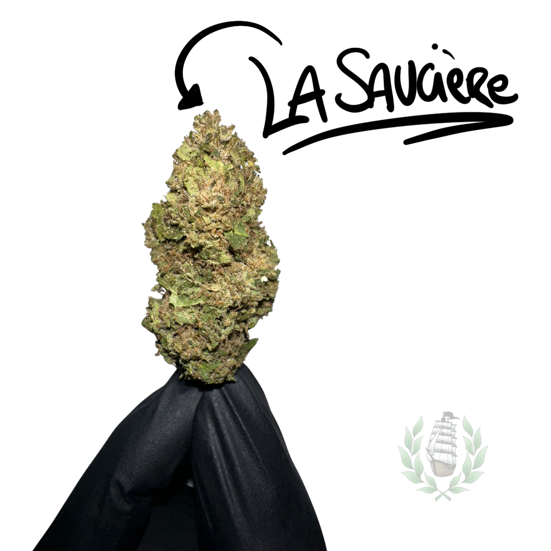 LA SAUCIÈRE CBD 💚 by L’HERBE DE TÉO
