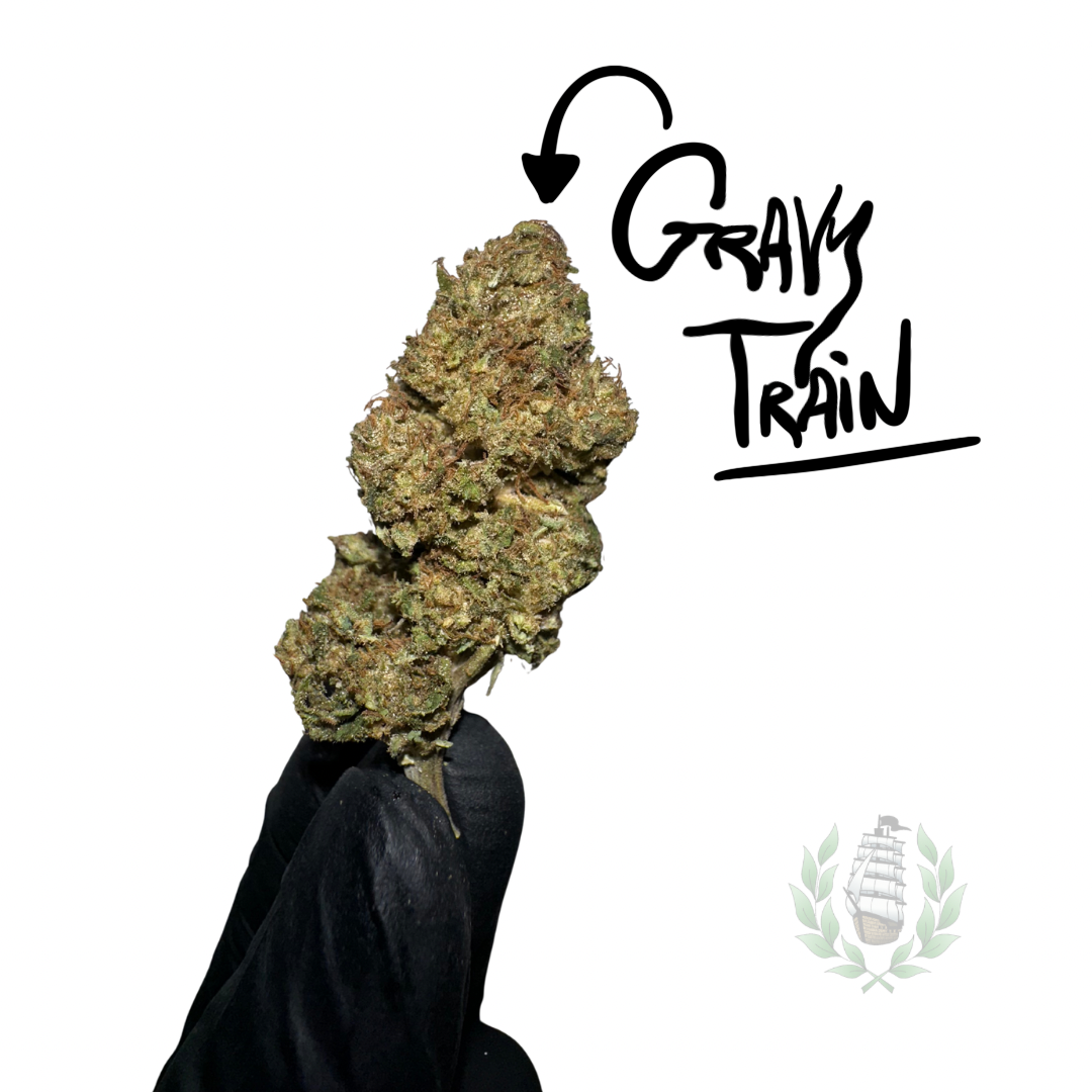 GRAVY TRAIN CBD 💚 by L’HERBE DE TÉO