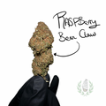 Raspberry Bear Claw CBD 💚 by L’HERBE DE TÉO