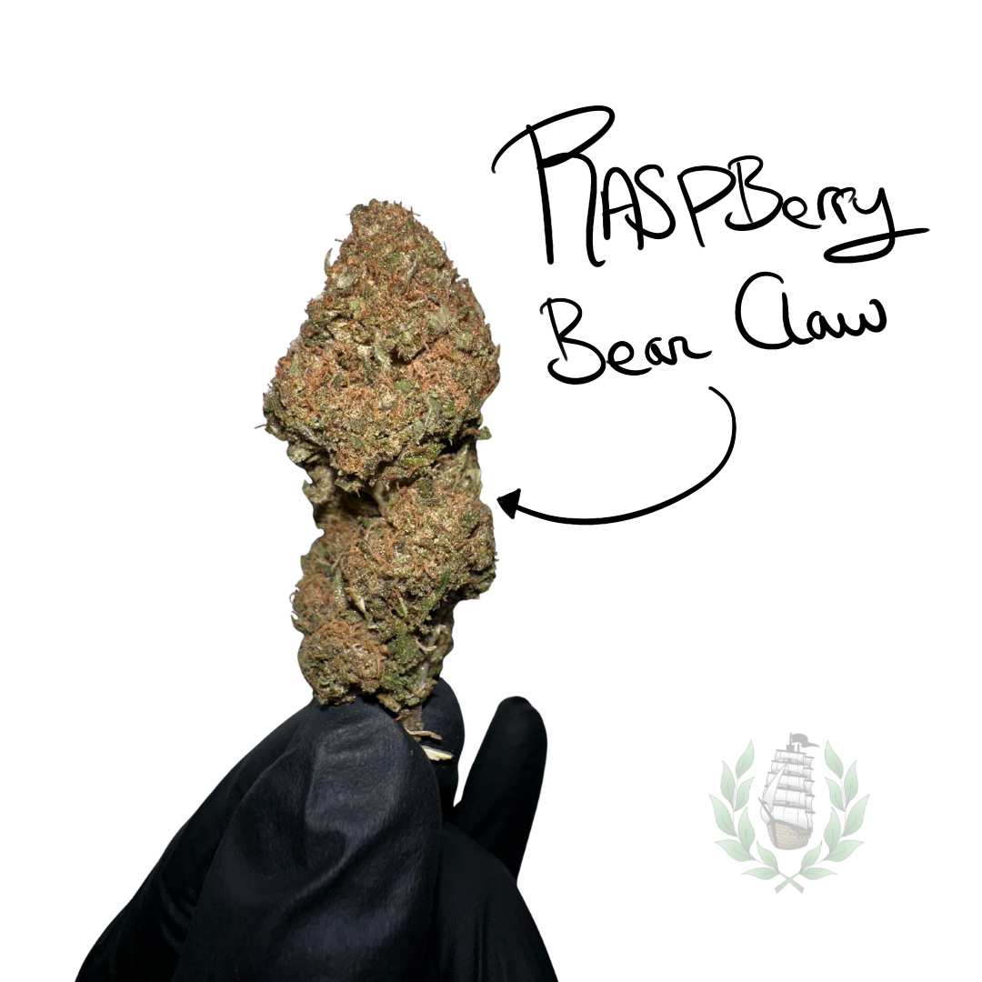 Raspberry Bear Claw CBD 💚 by L’HERBE DE TÉO